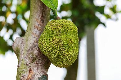 《北海道连续杀人事件》登陆PC＆NS 堀井雄二原作